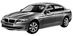 BMW F10 P1D9B Fault Code